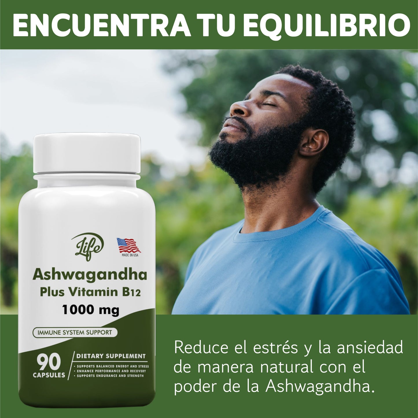 ASHAWAGANDA (GINSENG INDIO) + B12 X 90 CAPSULAS