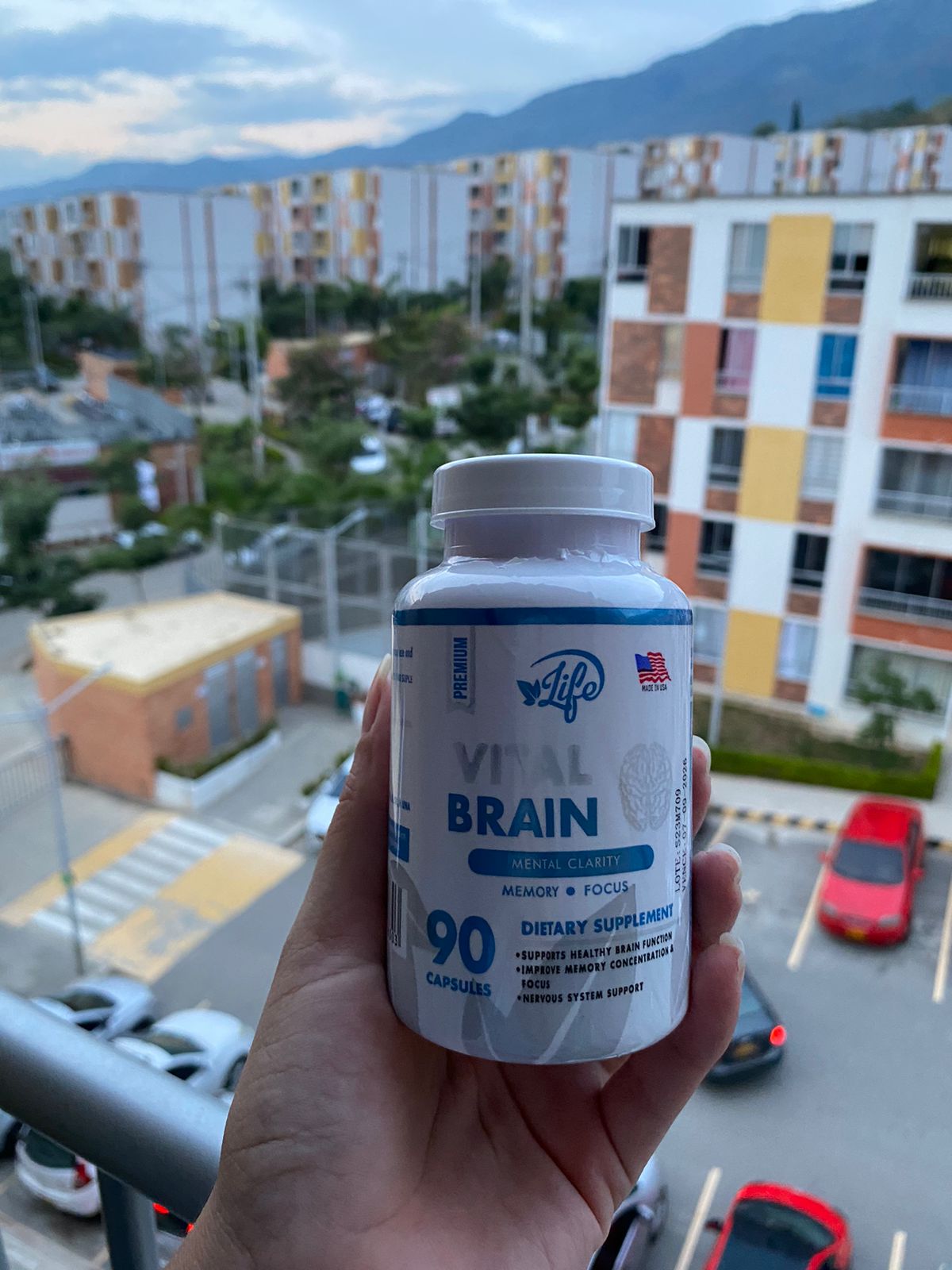 VITAL BRAIN