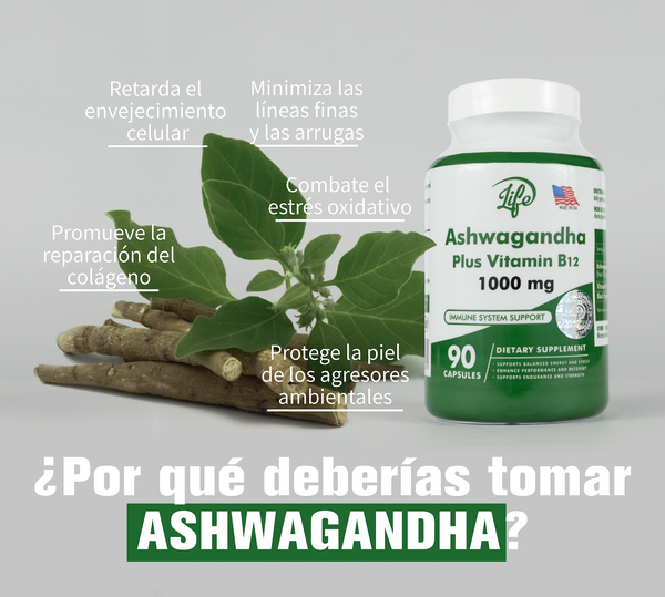 ASHAWAGANDA (GINSENG INDIO) + B12 X 90 CAPSULAS