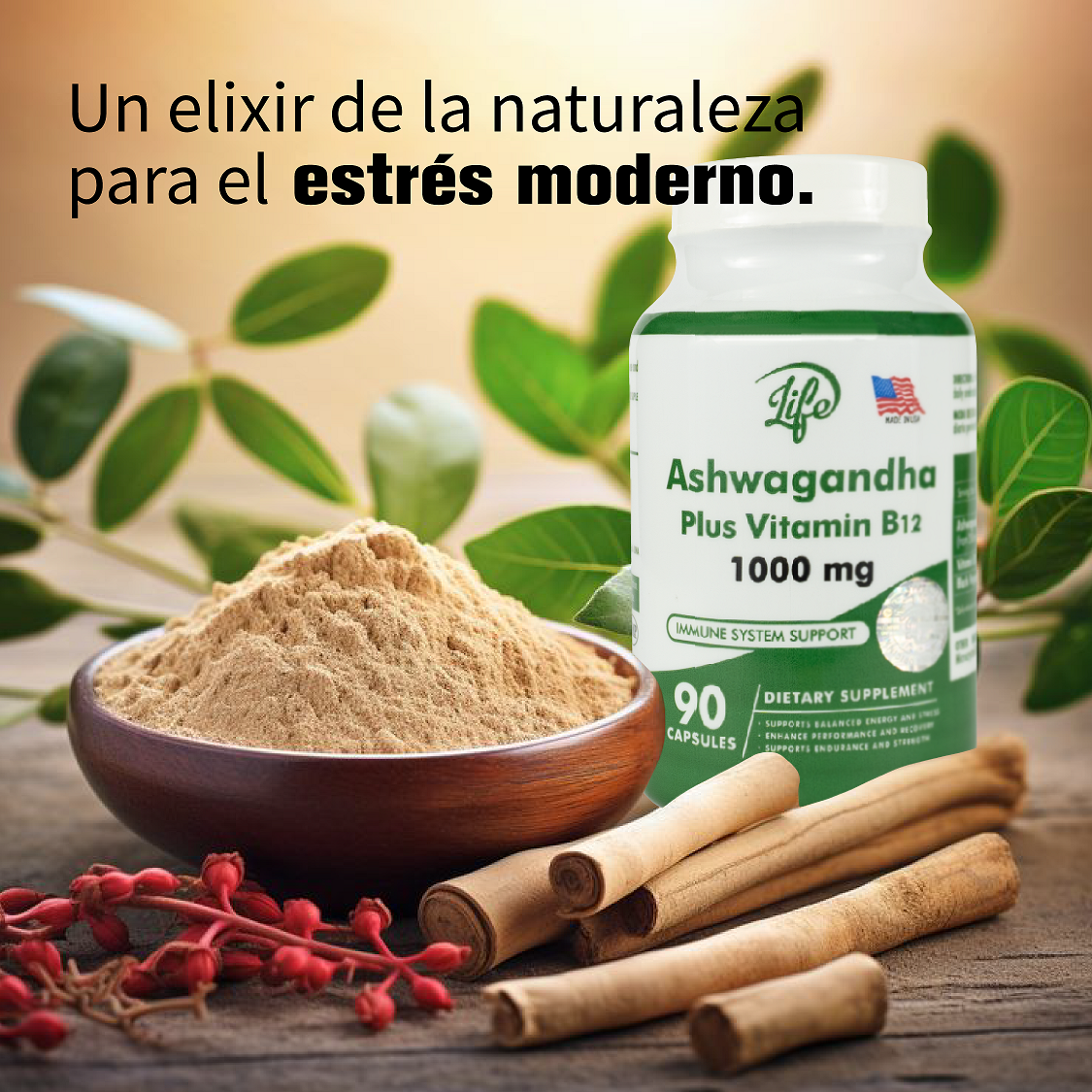 ASHAWAGANDA (GINSENG INDIO) + B12 X 90 CAPSULAS