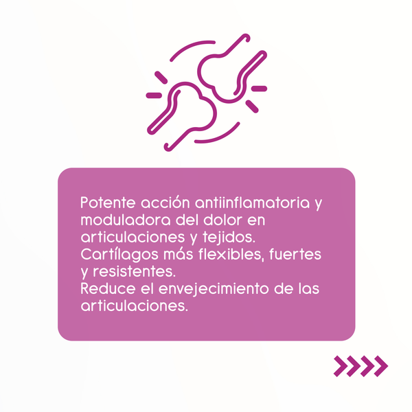 COLAGENO HIDROLIZADO
