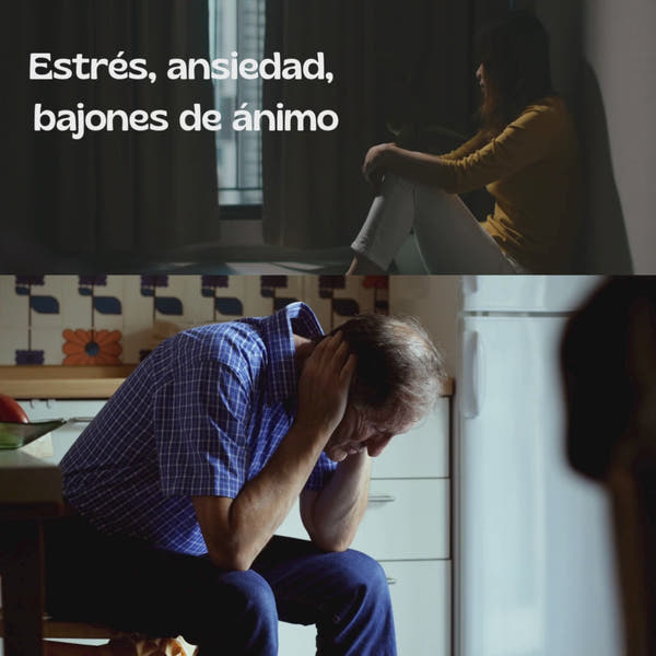 MACA 60 CAPSULAS
