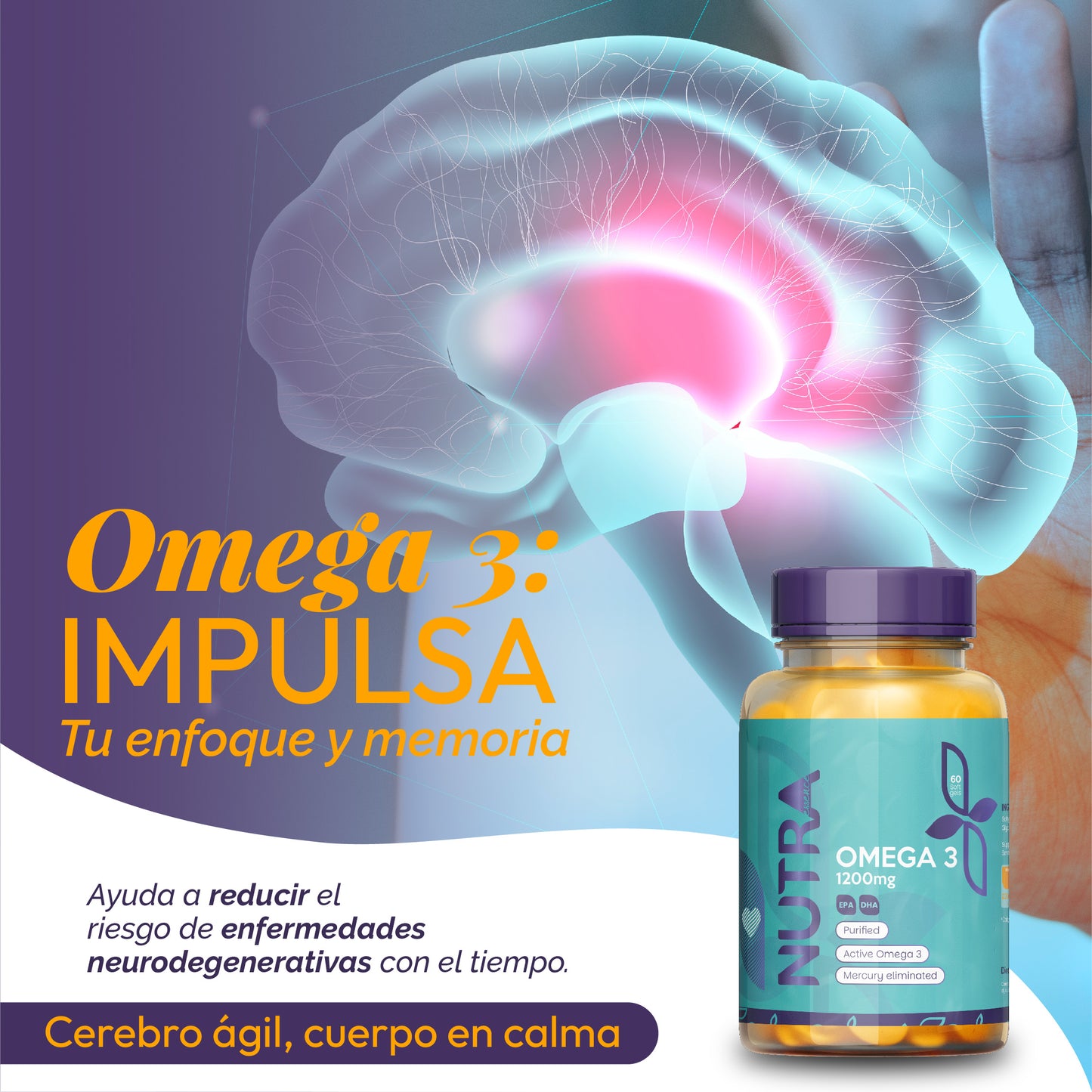 OMEGA 3 1200 MG X 60 CAPSULAS