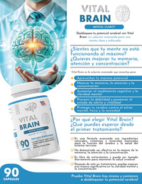 VITAL BRAIN